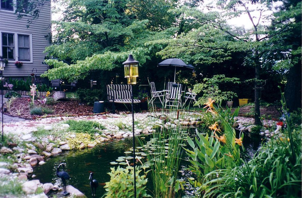 The Twin Magnolias Bed & Breakfast 罗阿诺克拉皮兹 外观 照片