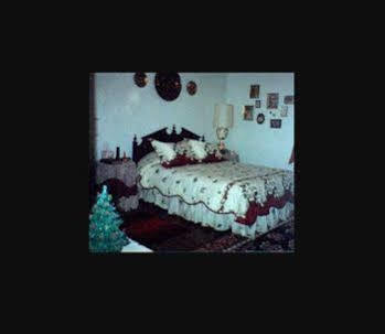 The Twin Magnolias Bed & Breakfast 罗阿诺克拉皮兹 外观 照片